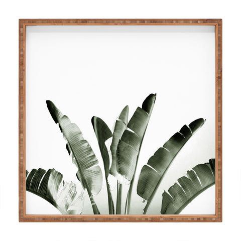 Gale Switzer Traveler Palm Square Tray