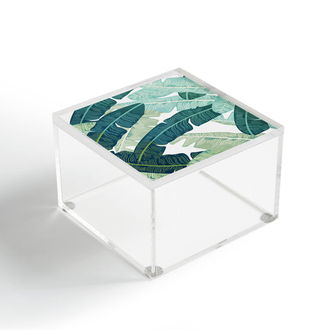 Gale Switzer Tropical oasis Acrylic Box