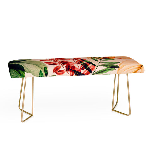 Gale Switzer Tropical Rainforests Bench