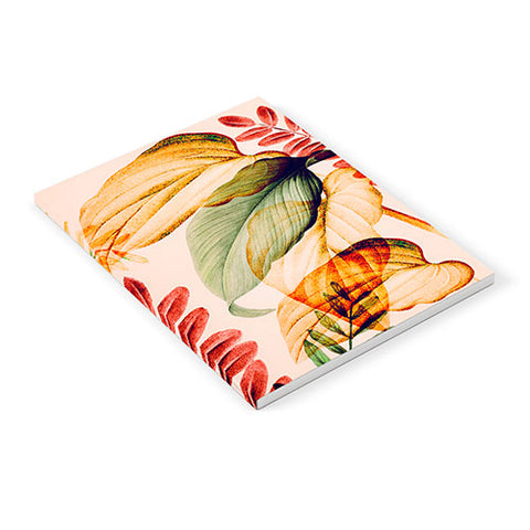 Gale Switzer Tropical Rainforests Notebook