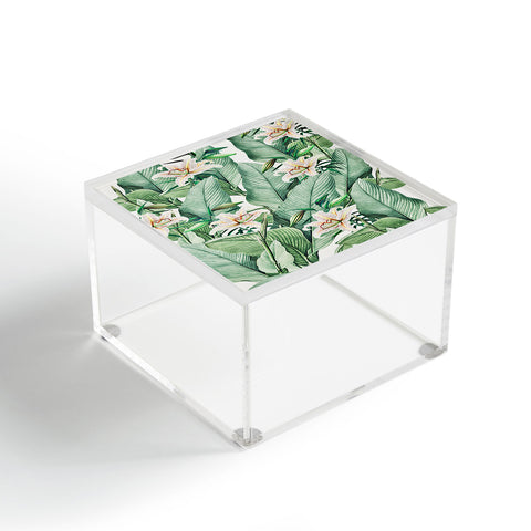 Gale Switzer Tropical state Acrylic Box