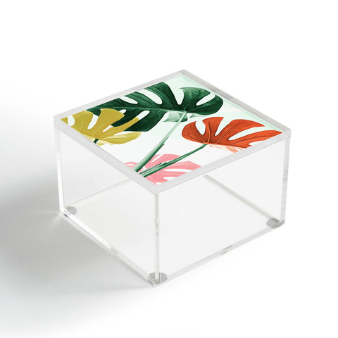Gale Switzer Urban Jungle leaves Acrylic Box