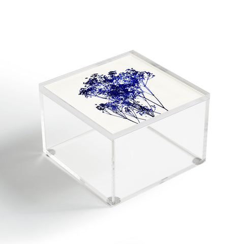 Garima Dhawan Babys Breath Indigo Acrylic Box