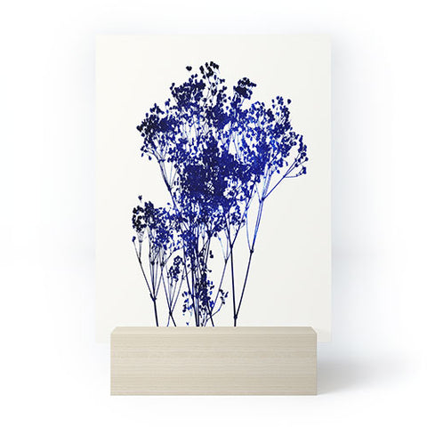 Garima Dhawan Babys Breath Indigo Mini Art Print