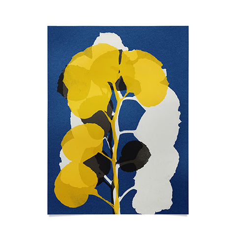 Garima Dhawan begonia 3 Poster