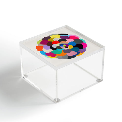 Garima Dhawan echeveria 1 Acrylic Box