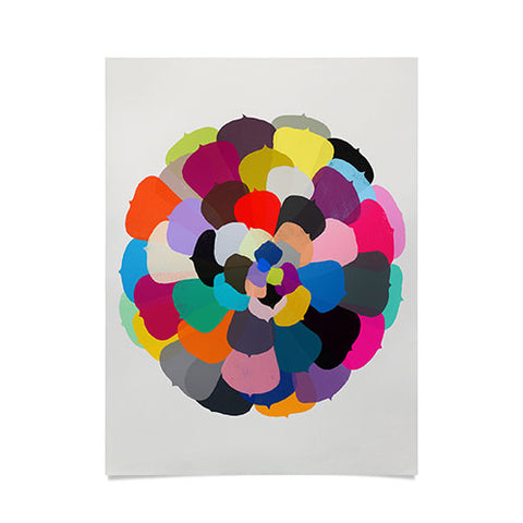 Garima Dhawan echeveria 1 Poster