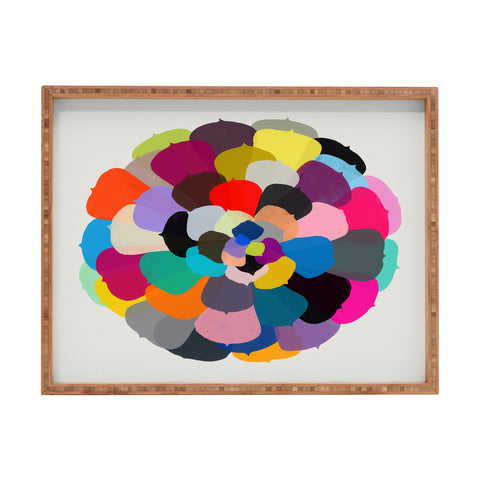 Garima Dhawan echeveria 1 Rectangular Tray