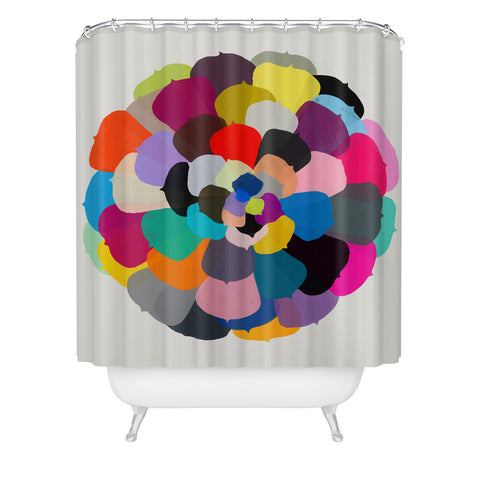 Garima Dhawan echeveria 1 Shower Curtain