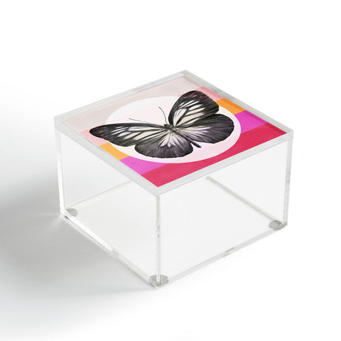 Garima Dhawan Flight 1 Acrylic Box