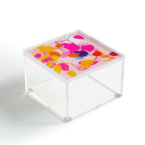 Garima Dhawan pothos 2 Acrylic Box