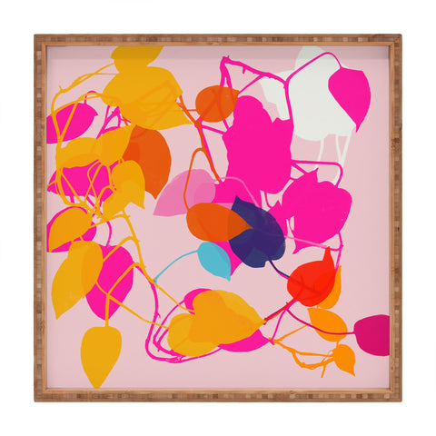 Garima Dhawan pothos 2 Square Tray