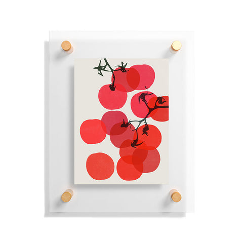 Garima Dhawan tomatoes 1 Floating Acrylic Print