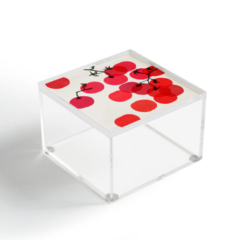 Garima Dhawan tomatoes 1 Acrylic Box