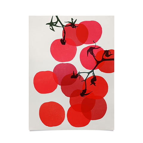 Garima Dhawan tomatoes 1 Poster