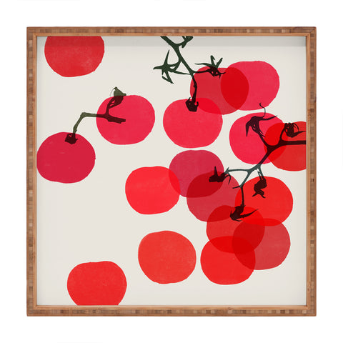 Garima Dhawan tomatoes 1 Square Tray