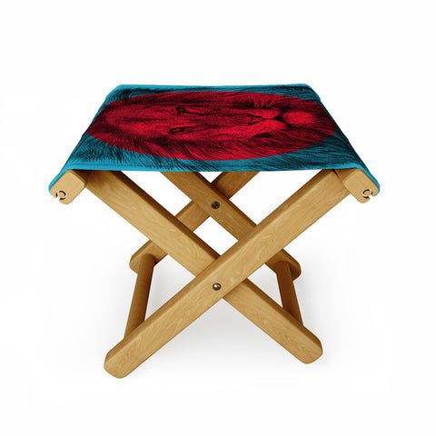 Garima Dhawan Wild 5 Folding Stool