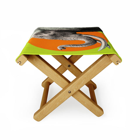 Garima Dhawan Wild 6 Folding Stool