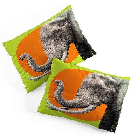 Garima Dhawan Wild 6 Pillow Shams