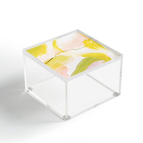Georgiana Paraschiv Abstract D03 Acrylic Box