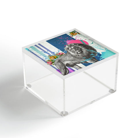 Ginger Pigg Hear Me Roar Acrylic Box