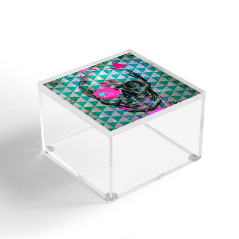 Ginger Pigg Neon Skull Acrylic Box