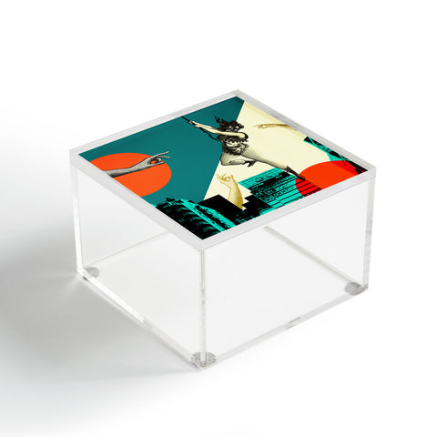 Ginger Pigg new york 2 Acrylic Box