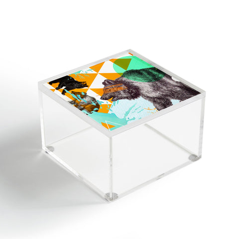 Ginger Pigg Patchwork Bear Acrylic Box