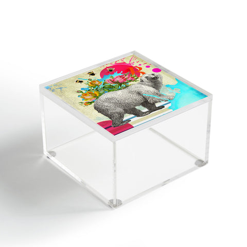 Ginger Pigg Polar Dance 2 Acrylic Box