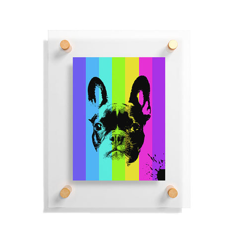 Ginger Pigg Rainbow Frenchie Floating Acrylic Print