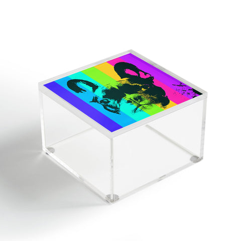 Ginger Pigg Rainbow Frenchie Acrylic Box