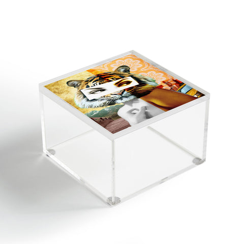 Ginger Pigg Whats New Pussy Cat Acrylic Box