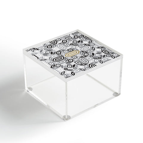 Gneural Geomaze Grayscale Acrylic Box