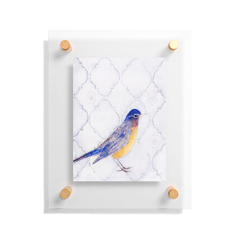 Hadley Hutton American Robin Floating Acrylic Print