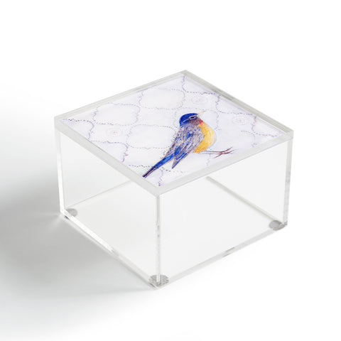 Hadley Hutton American Robin Acrylic Box