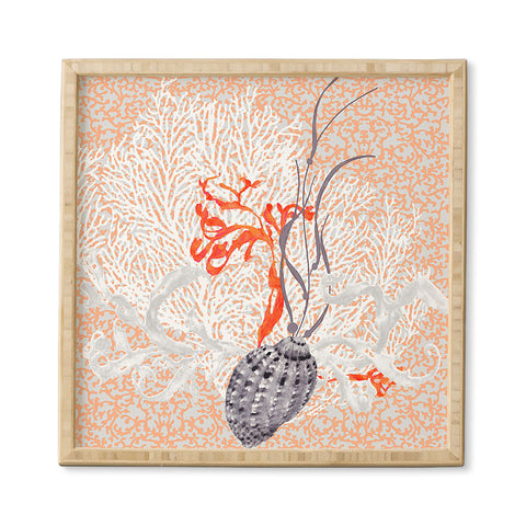 Hadley Hutton Coral Sea Collection 2 Framed Wall Art
