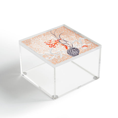 Hadley Hutton Coral Sea Collection 2 Acrylic Box