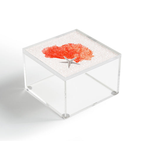 Hadley Hutton Coral Sea Collection 4 Acrylic Box