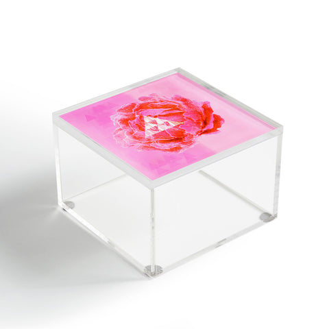 Hadley Hutton Floral Tribe Collection 5 Acrylic Box