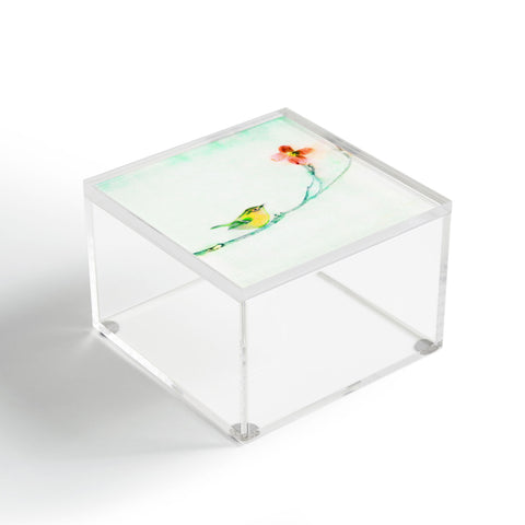 Hadley Hutton Golden Wren Acrylic Box
