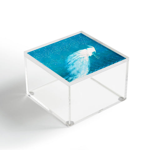 Hadley Hutton Starry Night Peacock Acrylic Box