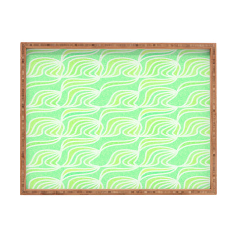 Hadley Hutton Succulent Collection 3 Rectangular Tray