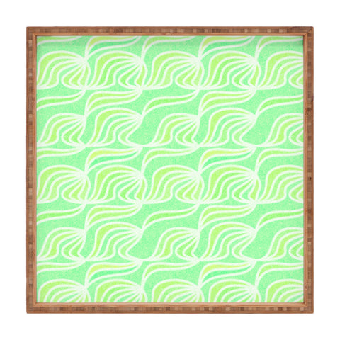 Hadley Hutton Succulent Collection 3 Square Tray