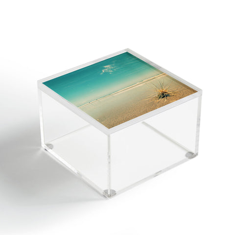 Happee Monkee Beach Star Acrylic Box