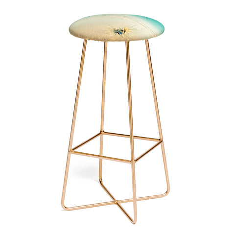 Happee Monkee Beach Star Bar Stool