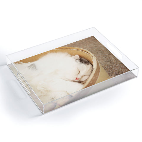 Happee Monkee Cute Sleepy Cat Acrylic Tray