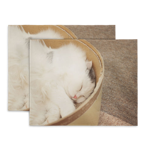 Happee Monkee Cute Sleepy Cat Placemat