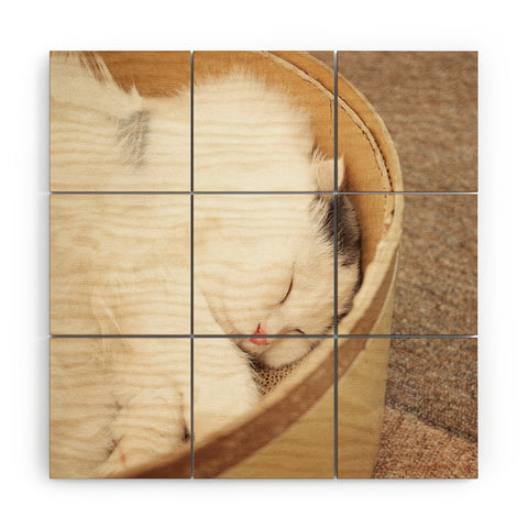 Happee Monkee Cute Sleepy Cat Wood Wall Mural