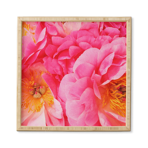 Happee Monkee Hot Pink Peony Framed Wall Art