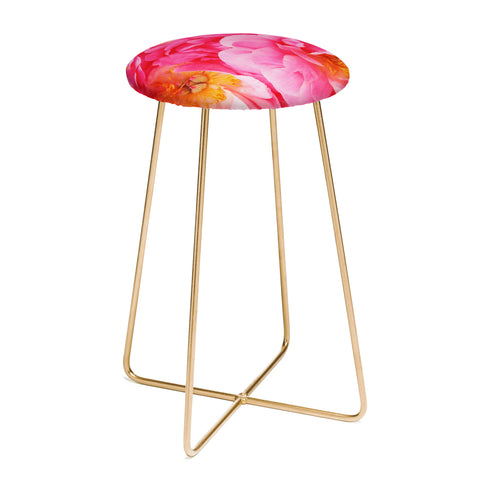 Happee Monkee Hot Pink Peony Counter Stool